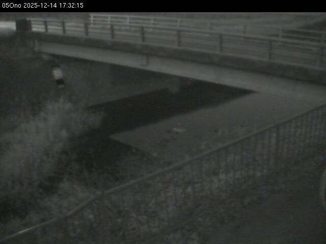 最新監視カメラ画像