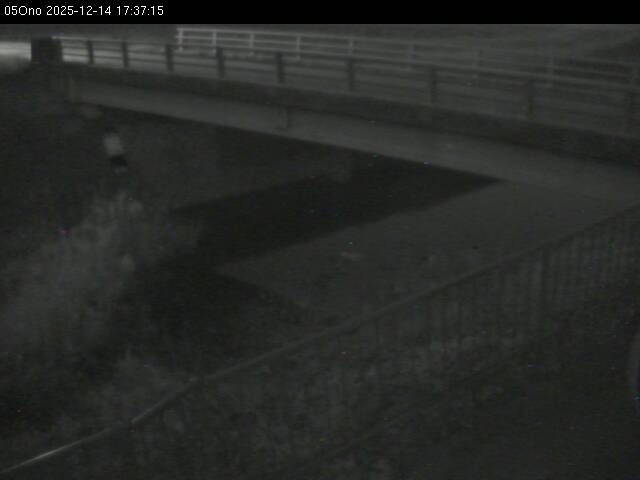 最新監視カメラ画像