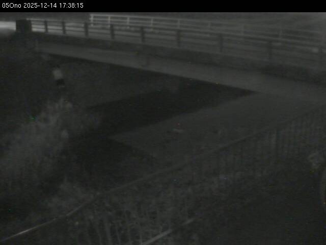 最新監視カメラ画像