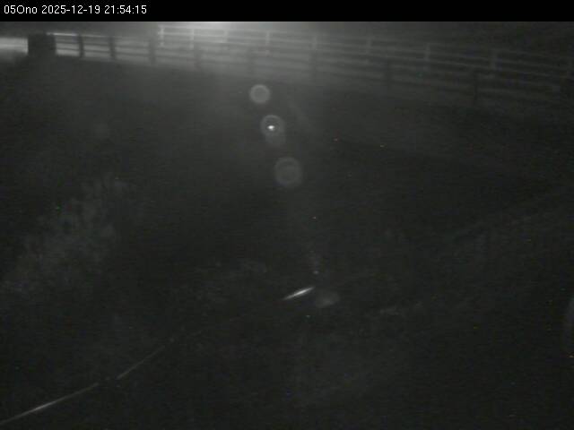 最新監視カメラ画像