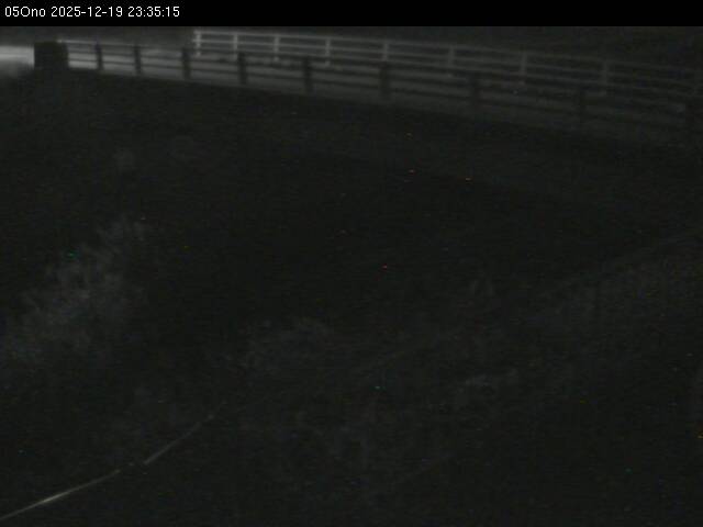 最新監視カメラ画像