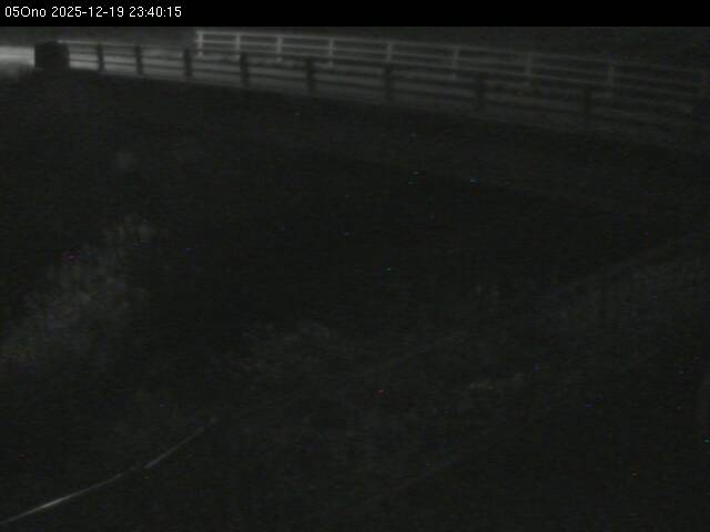 最新監視カメラ画像