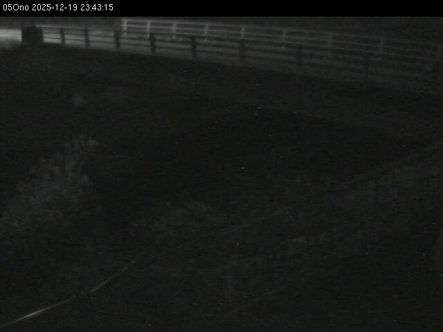 最新監視カメラ画像