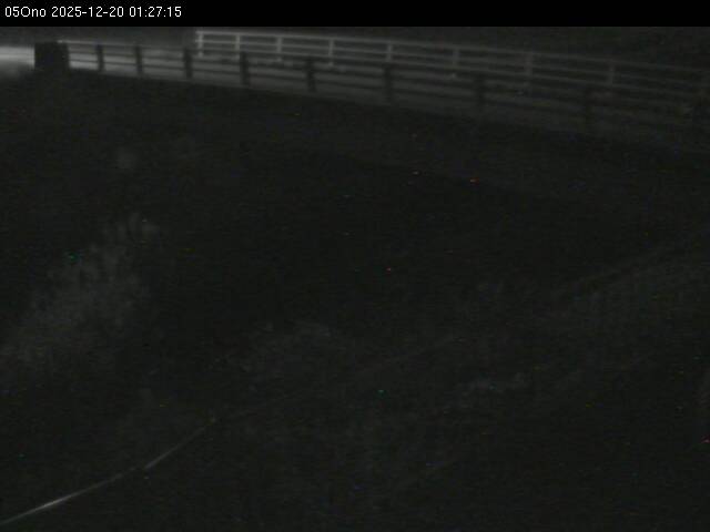 最新監視カメラ画像
