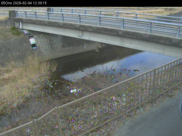 最新監視カメラ画像