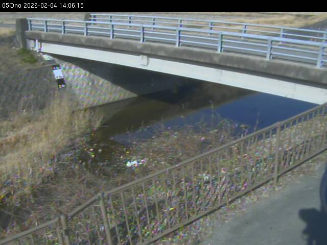 最新監視カメラ画像