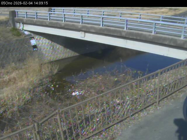 最新監視カメラ画像