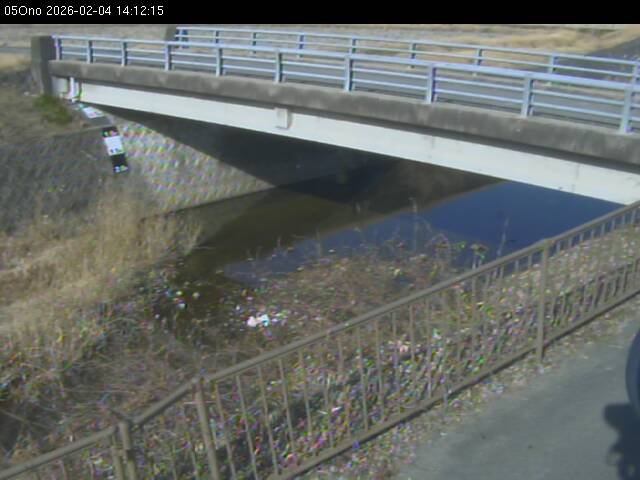 最新監視カメラ画像