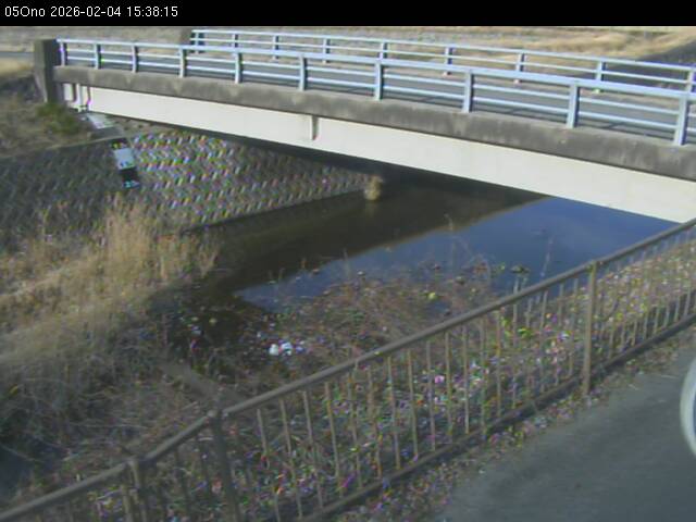 最新監視カメラ画像