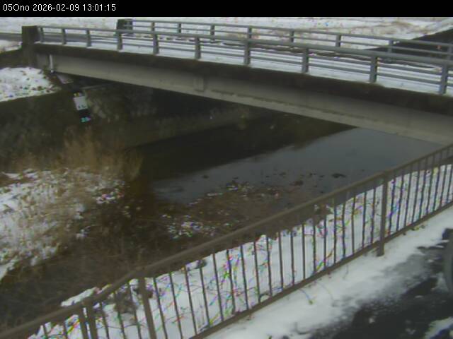 最新監視カメラ画像