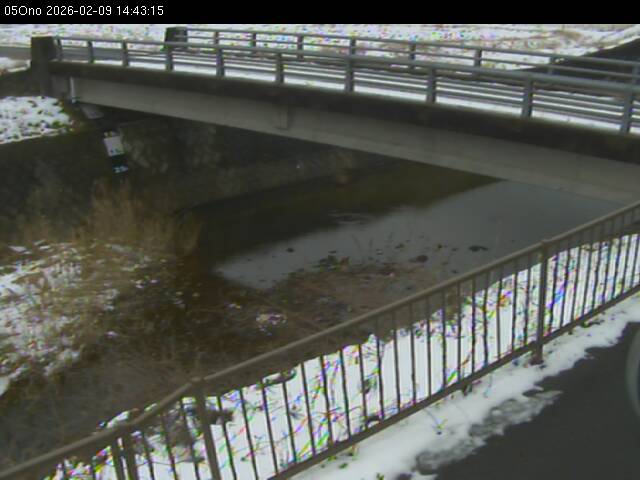 最新監視カメラ画像