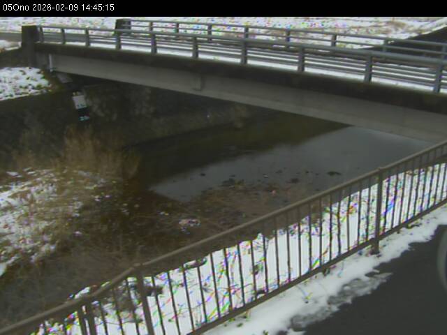 最新監視カメラ画像