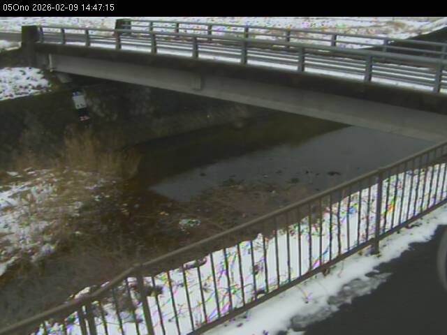 最新監視カメラ画像