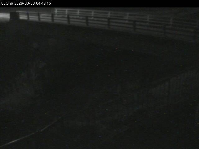 最新監視カメラ画像