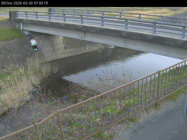 最新監視カメラ画像