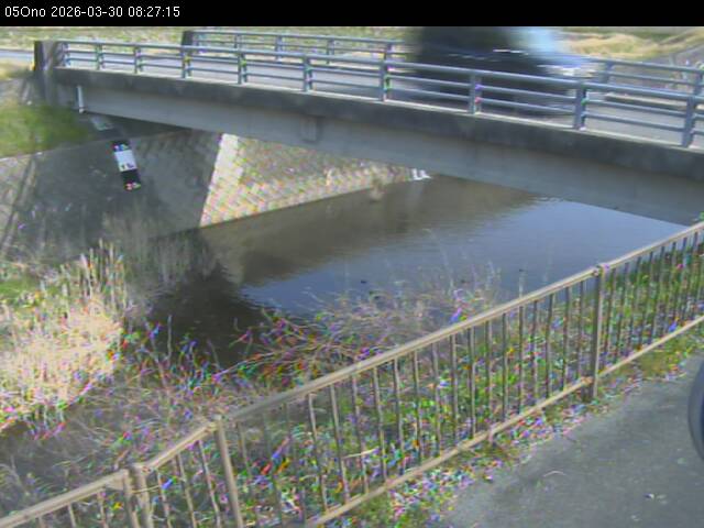 最新監視カメラ画像