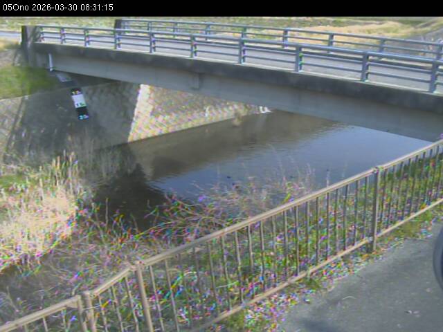 最新監視カメラ画像