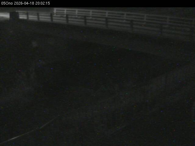 最新監視カメラ画像