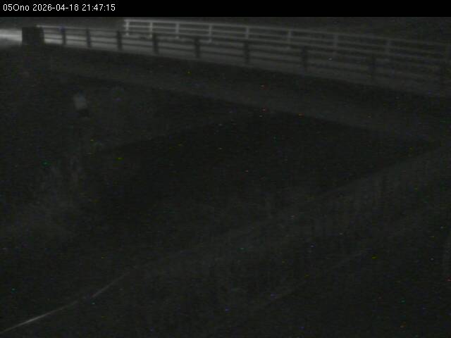 最新監視カメラ画像