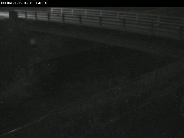 最新監視カメラ画像