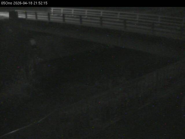 最新監視カメラ画像