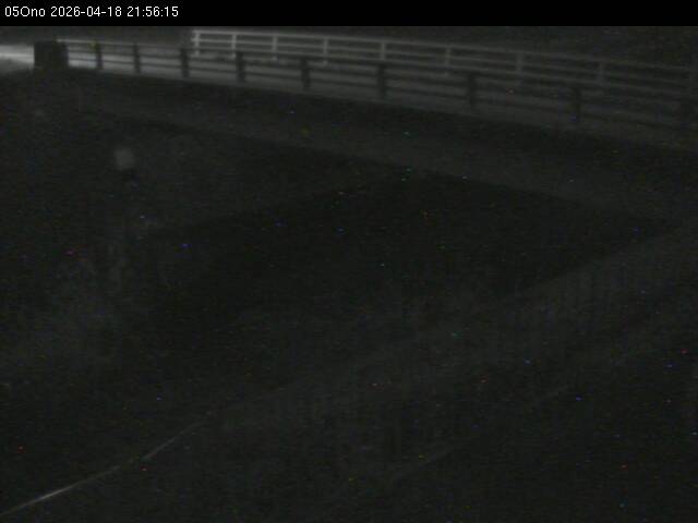 最新監視カメラ画像