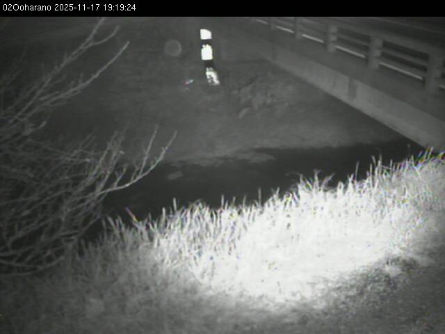 最新監視カメラ画像