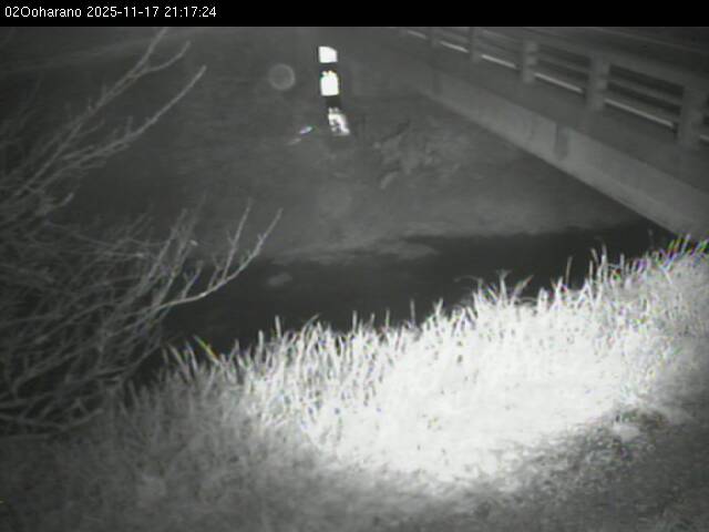 最新監視カメラ画像