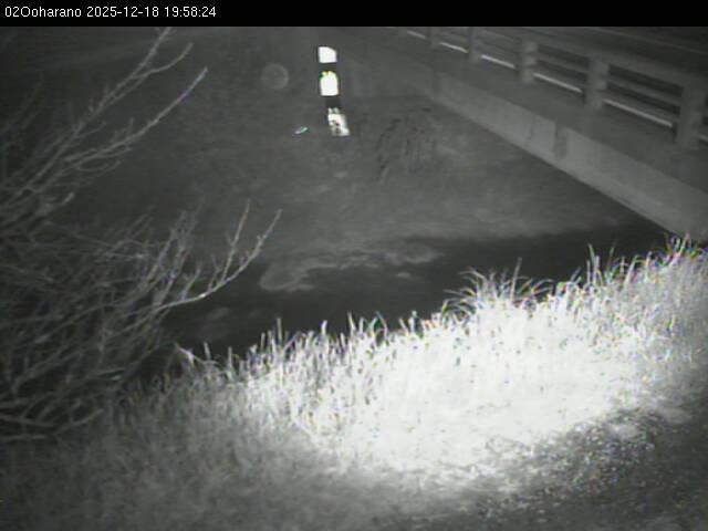 最新監視カメラ画像