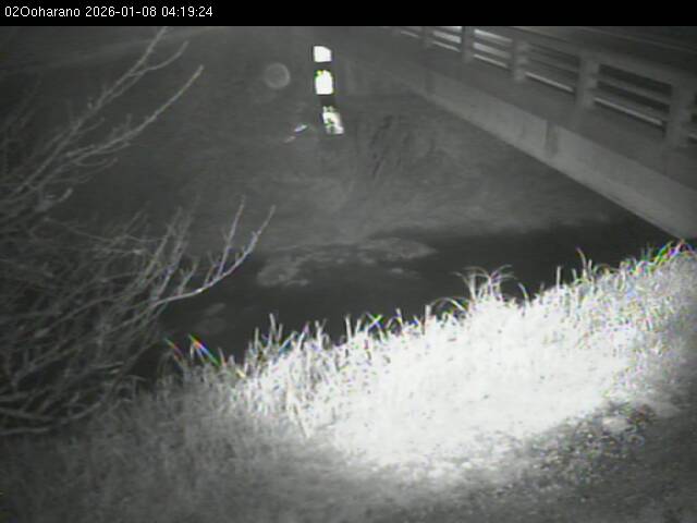 最新監視カメラ画像