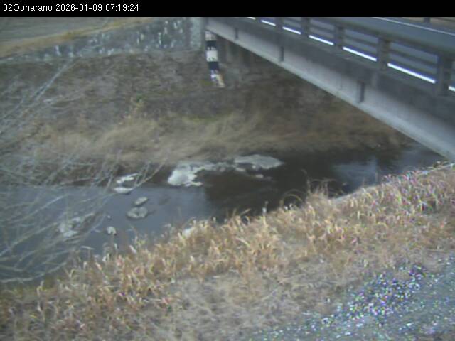 最新監視カメラ画像