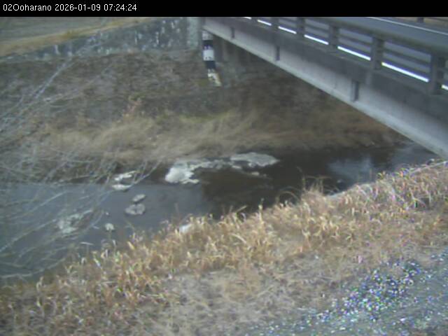 最新監視カメラ画像