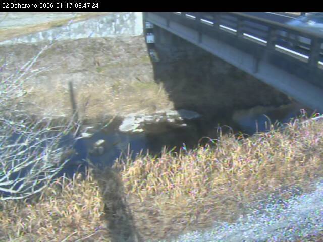 最新監視カメラ画像