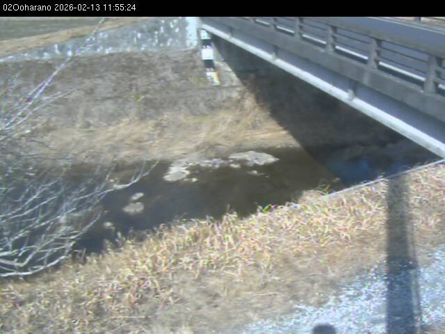 最新監視カメラ画像