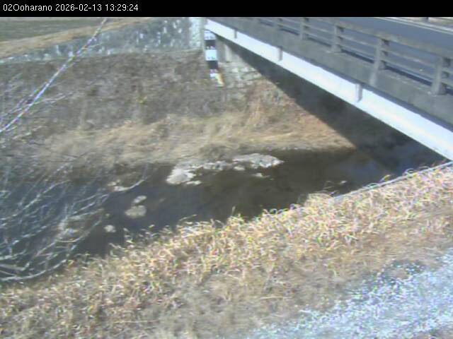 最新監視カメラ画像