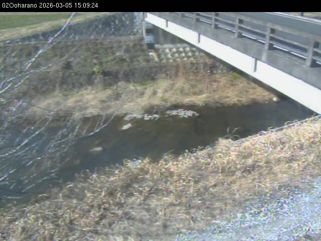 最新監視カメラ画像