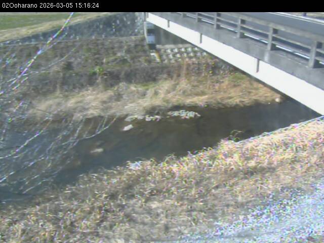 最新監視カメラ画像