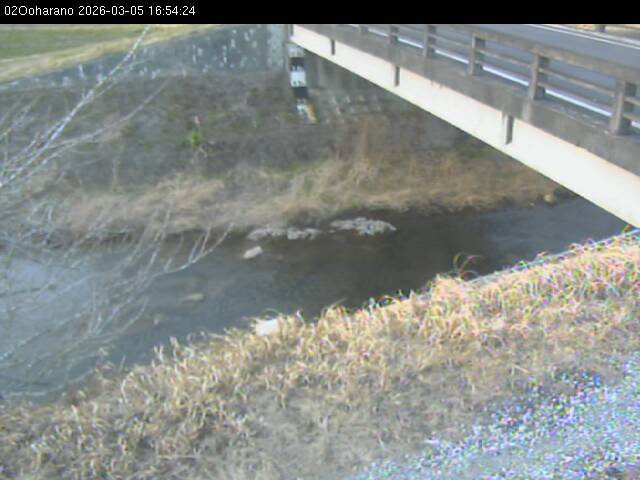 最新監視カメラ画像