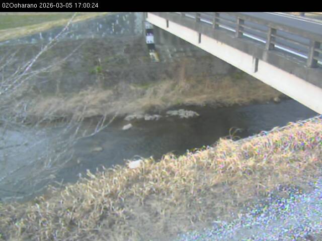 最新監視カメラ画像