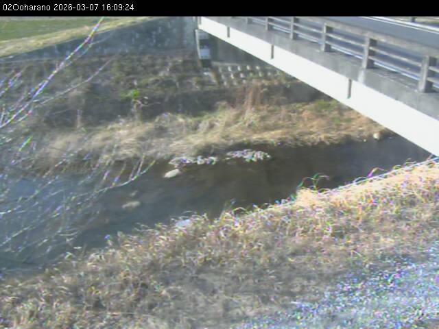 最新監視カメラ画像