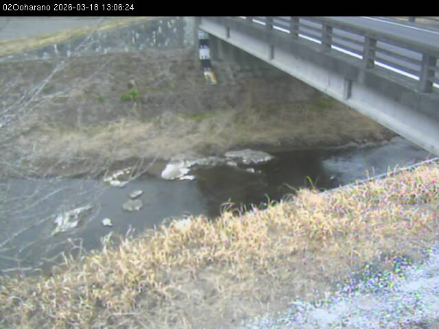 最新監視カメラ画像