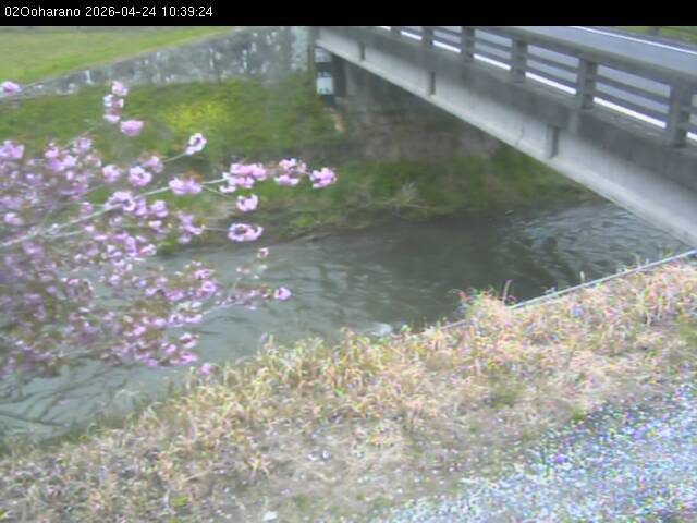 最新監視カメラ画像