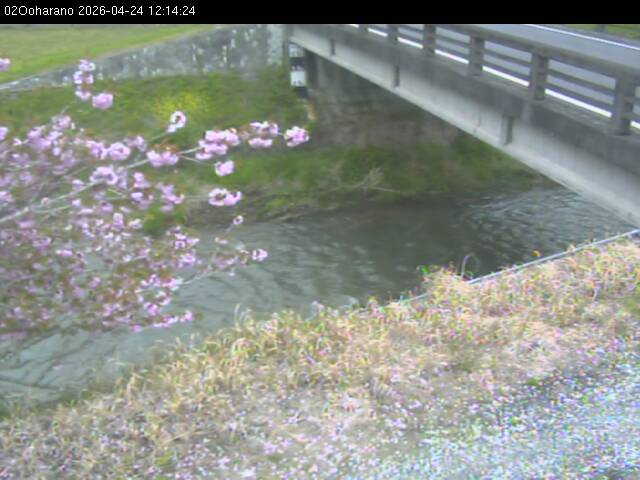 最新監視カメラ画像