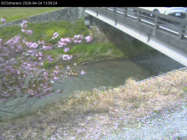 最新監視カメラ画像