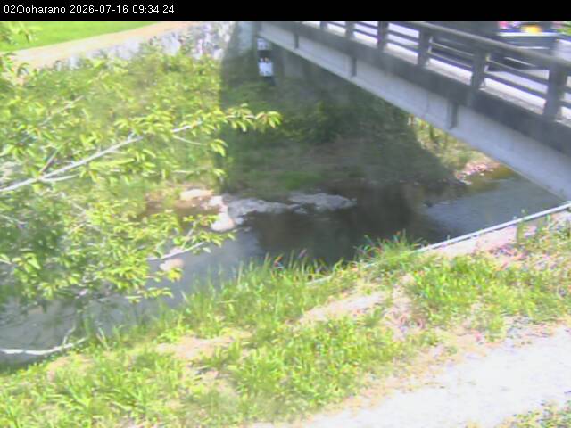 最新監視カメラ画像