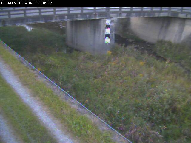 最新監視カメラ画像