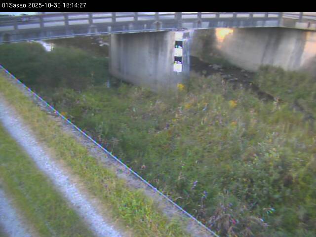 最新監視カメラ画像