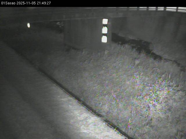 最新監視カメラ画像