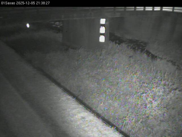 最新監視カメラ画像