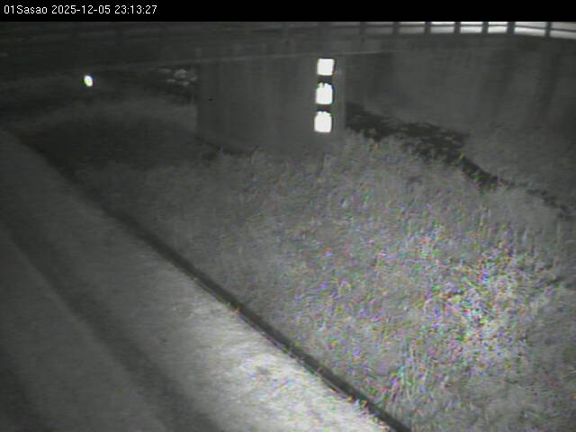 最新監視カメラ画像